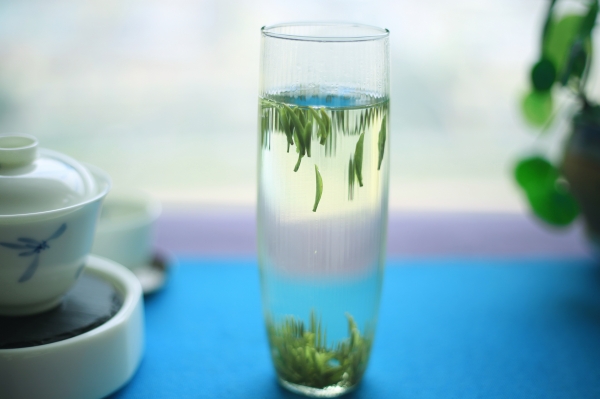 图片6：茶芽在水中舒展，在杯中起落。摄影：骆婷.jpg